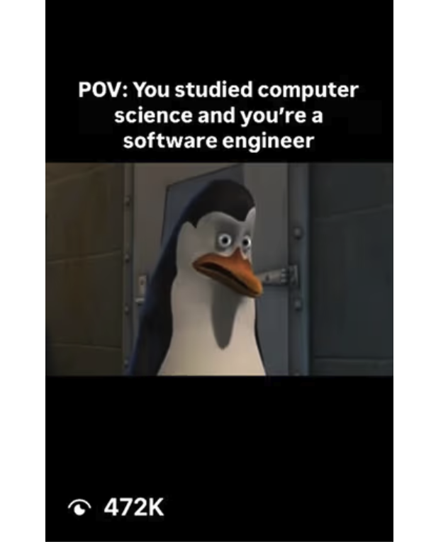 POV computer science software engineer penguin meme